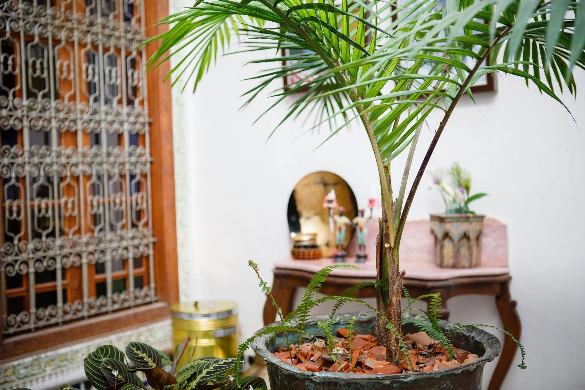 Riad Idrissy เฟส ภายนอก รูปภาพ